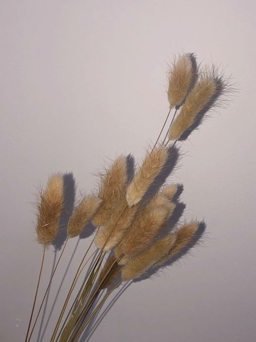 Пампасы с вазой.