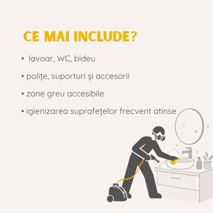 Pachet Igienizare Baie - Cu Abur