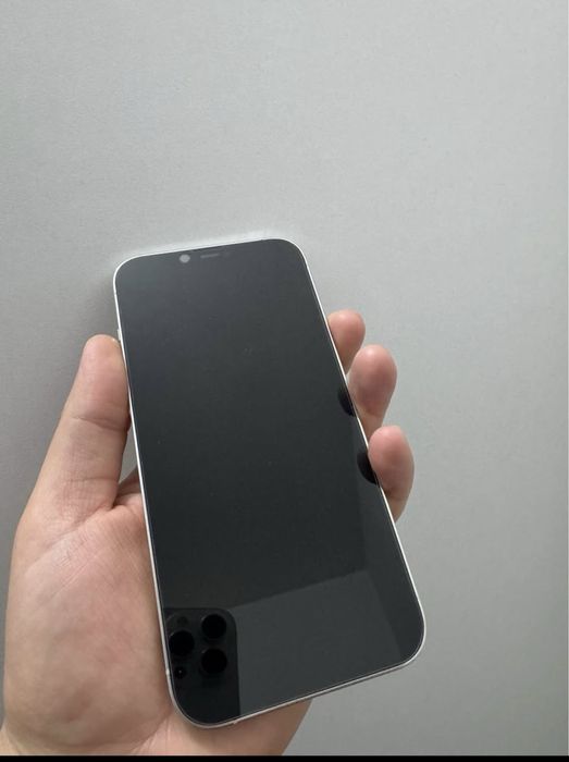 Iphone 12 pro max silver
