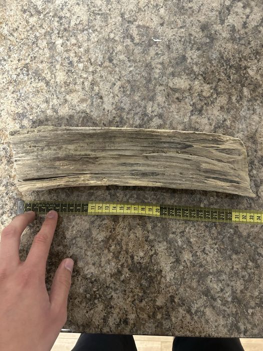 Diferite bucati de lemn decorativ pentru acvariu