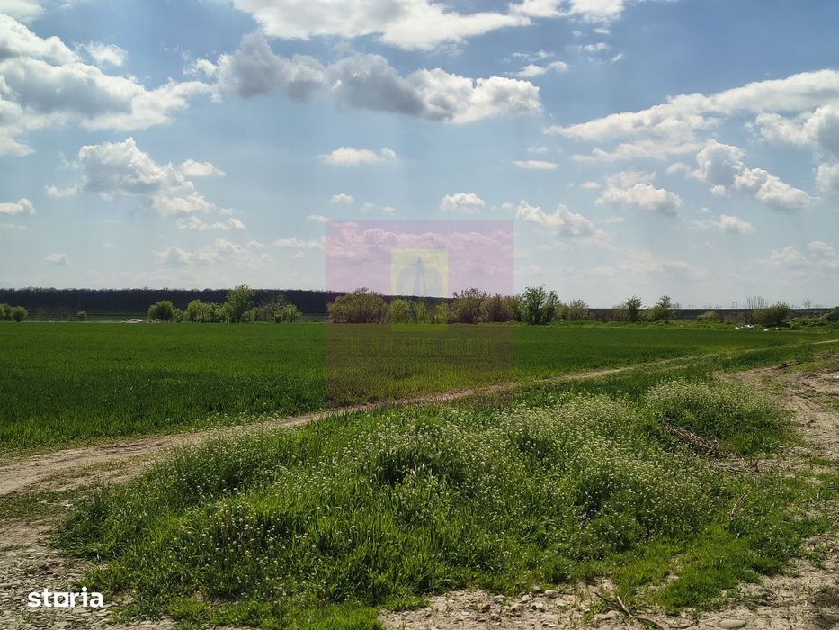 Poșta -Teren 12.450mp pretabil hală/rezidențial la 150ml de utilități
