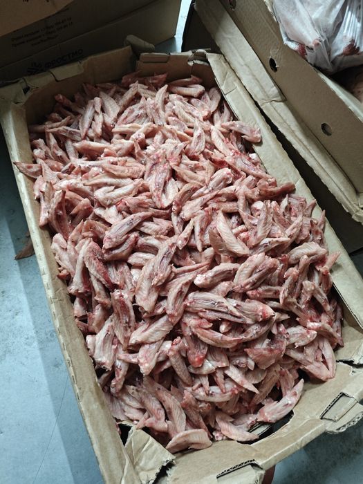 Продам крылья (3 часть)