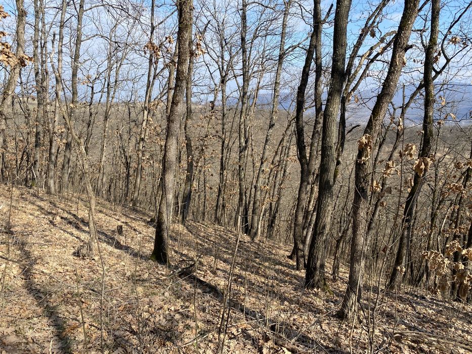 Продава се Земеделски имот в с. Струпец, Област Враца -  кв.м за 829 €/дка - Снимка #2