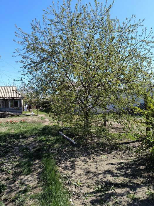 продам дачу 10 соток