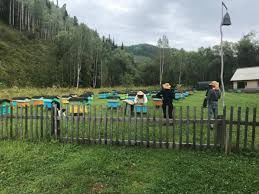 МЁД 100%НАТУРАЛЬНЫЙ. Сертификат!