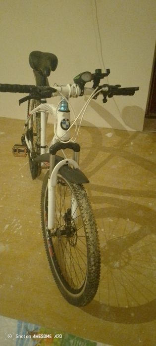 Велсвет ыспртини