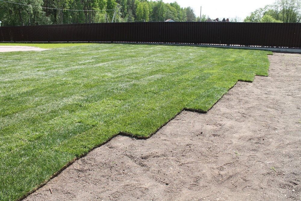 Gazon !!!  Рулон семена оптом