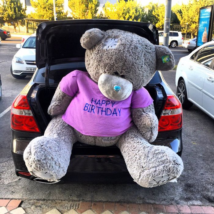 Optom 1+1 Teddi Teddy Teddiy