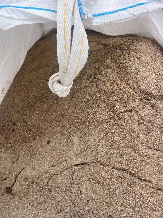 Смлени черупки от рапани