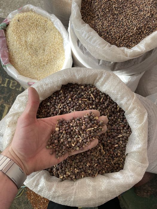 Samanta lucerna,trifoi,iarba sudan,borceag.