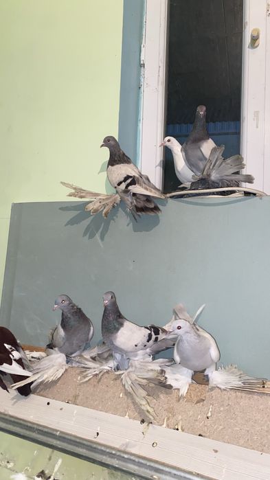 Гарантия 16 ггпрор