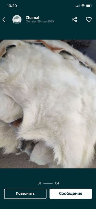 Иленген қойдың терісін 80шт бар