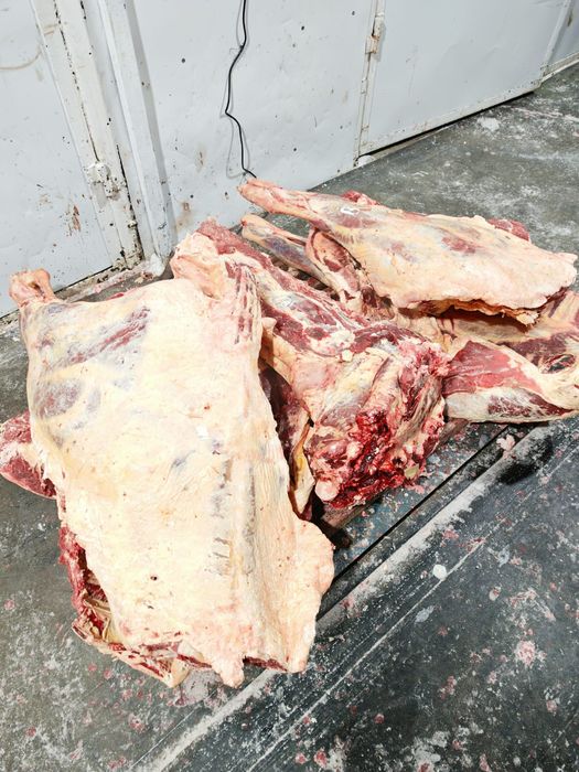 Мясо говядины тушами