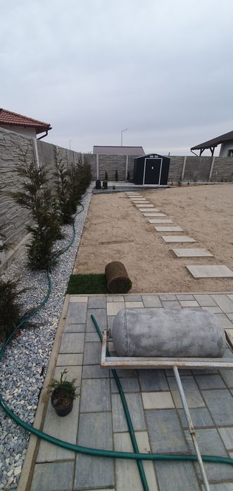 Gazon rulou 28 lei transport pana la usa