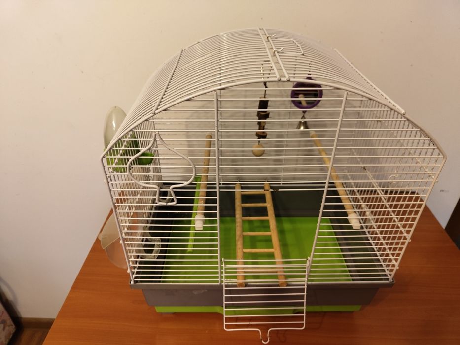 Colivie pasari       .