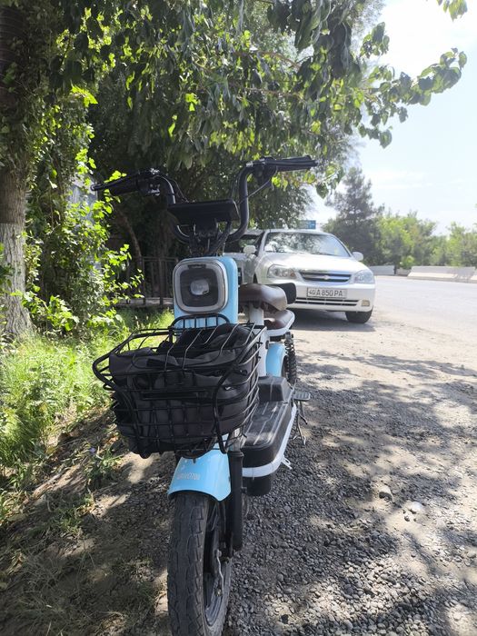 Skuter olegonla yozila