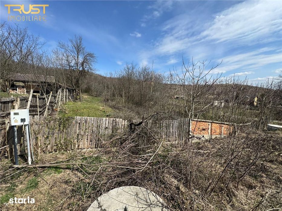 Teren Parcelabil I 11400 MP I Corpadea