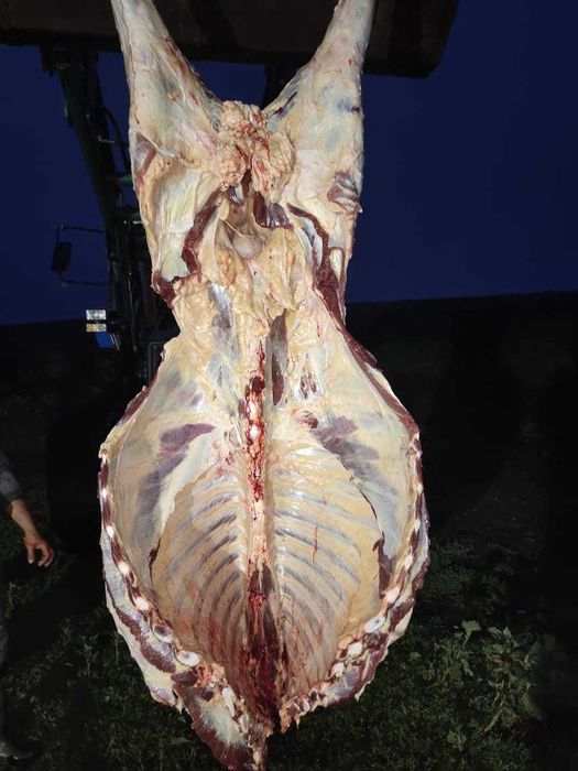 Жилктеме ет, мясо