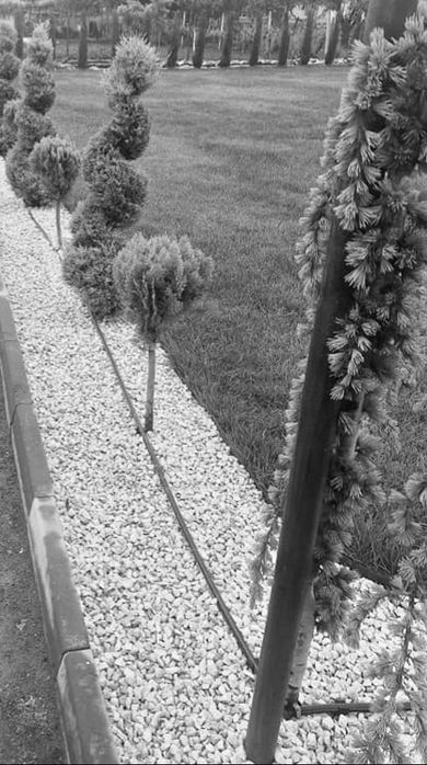 Доставки на бели камъни(чакълени]за украса и декорация