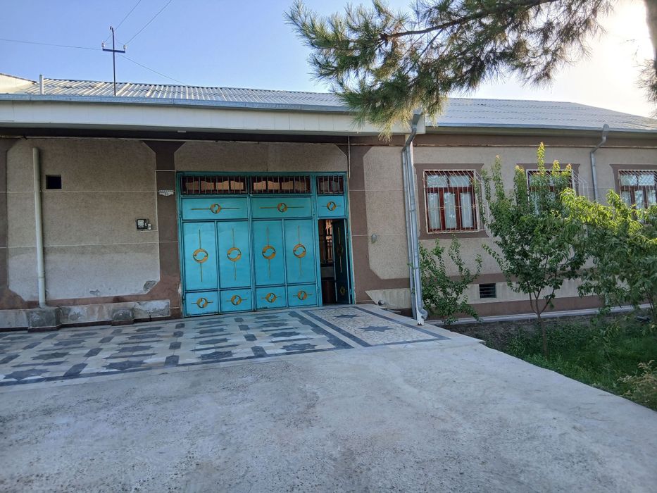 Шейхондан 6 сотихли участка