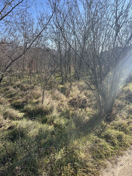 Продава се Парцел в Варна, Базар Левски - 1763 кв.м за 60 €/кв.м - Снимка #4