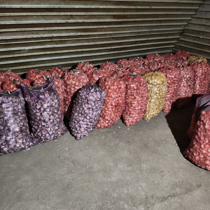 Продам чеснок местный тургенский