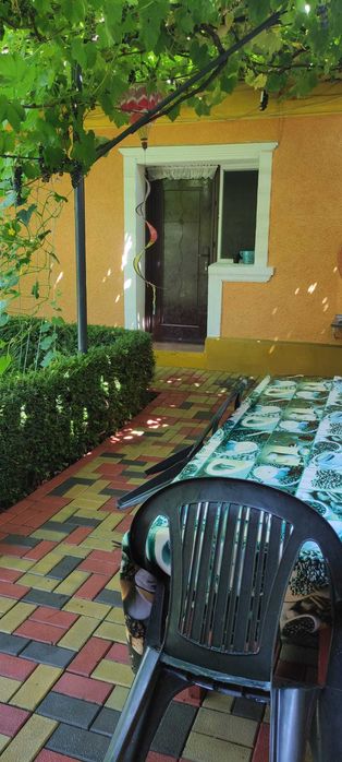 Cazare la mare casa Orange House Mangalia