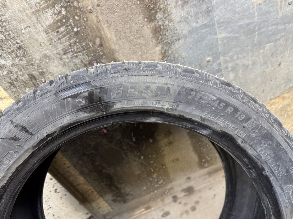 Шины зимние Michelin