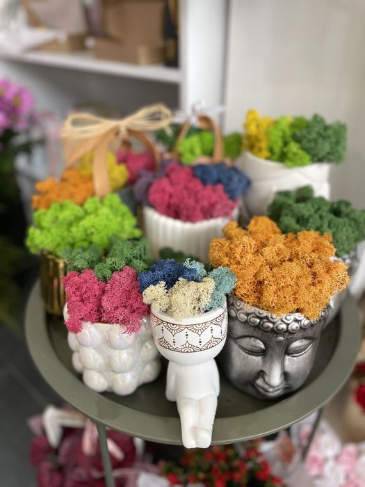 Скандинавски мъх