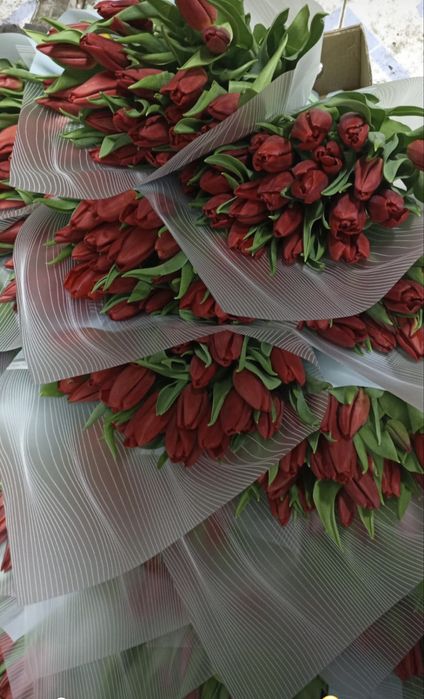 Тюльпаны оптом и в розницу