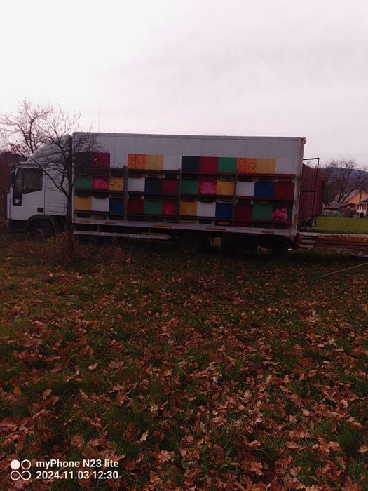 Vind două camioane apicole