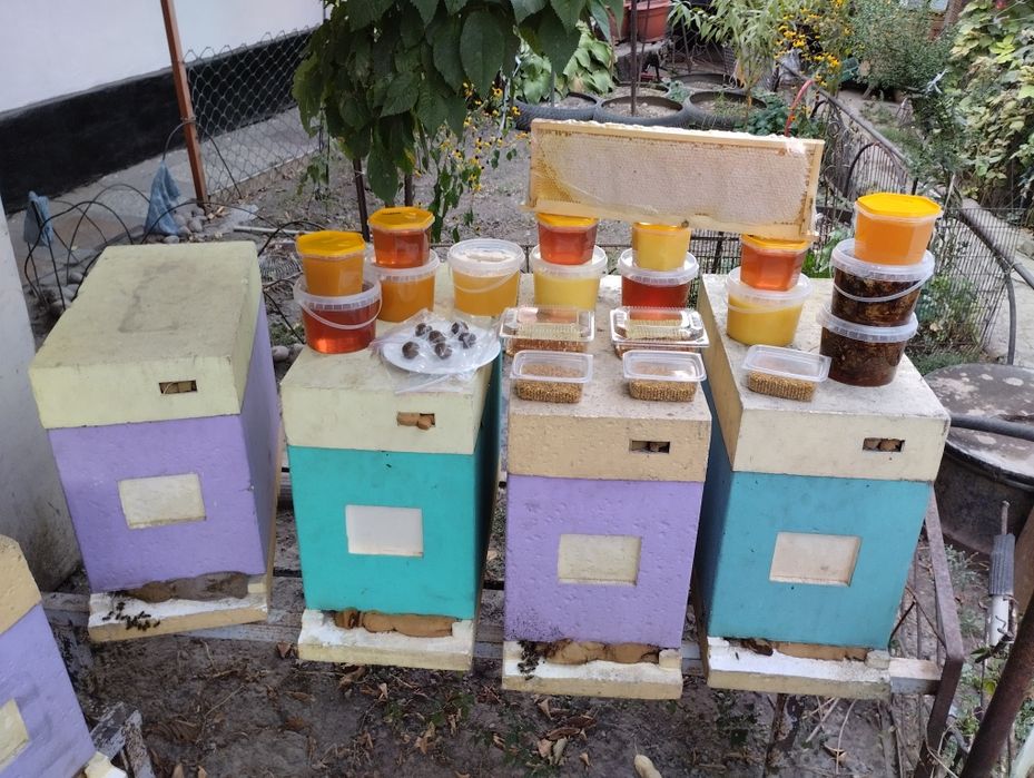 Мед со своей пасеки