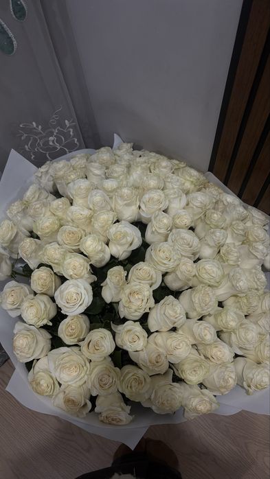101 белый Голландские розы