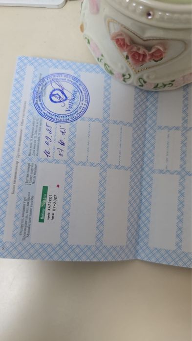 Породистый котик ищет добрые руки!