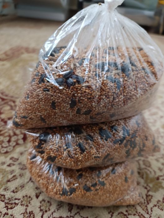 Корм для птиц, попугаев