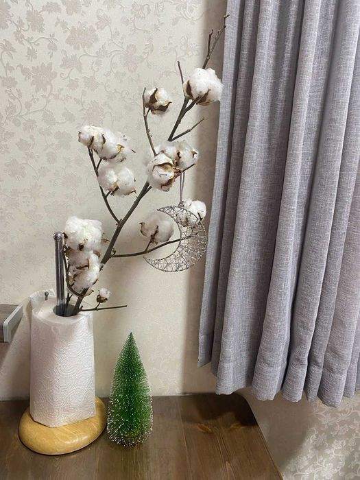 продаются веточки хлопка