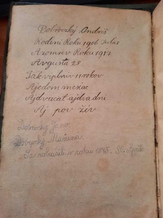 carte Cithara Sanctorum : Cântece duhovnicesti vechi și noi 1903