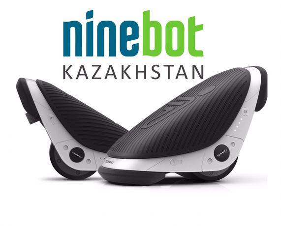 Xiaomi Ninebot Segway Drift w1