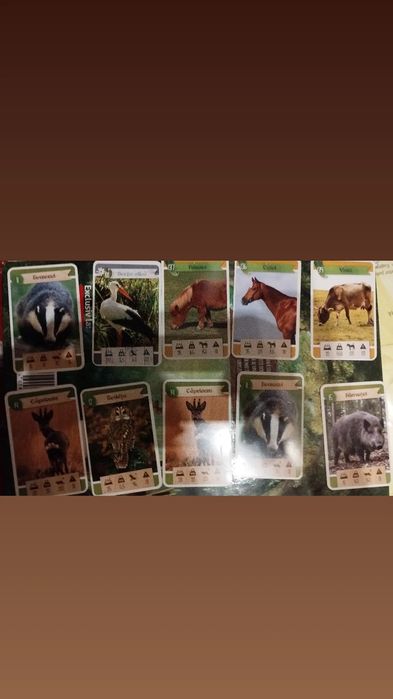 Cartonase Penny & XXL cu animale din Romania