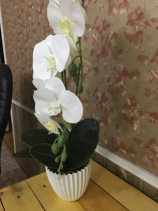 Цветок - архидея  своими руками