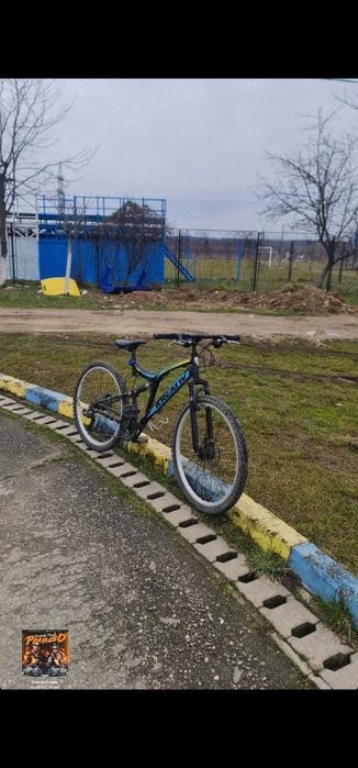 Bicicleta kreative custom