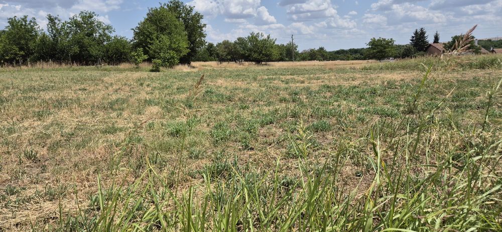 Продава се Парцел в Козлодуй - 1025 кв.м за 10 €/кв.м - Снимка #5