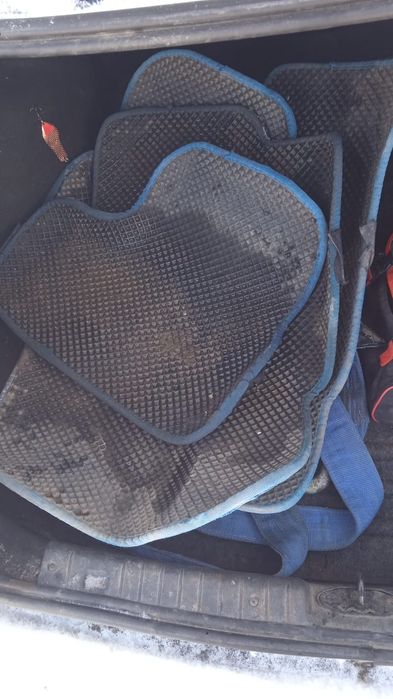 Ева полик на авео