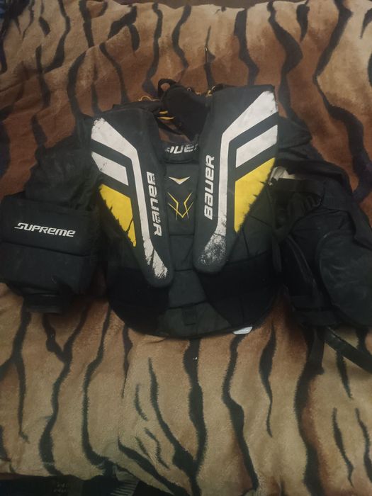 Хобби. Отдых и спорт