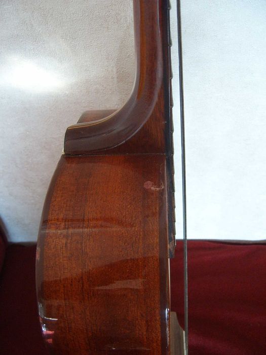 Eco P2  стара италианска романтична китара