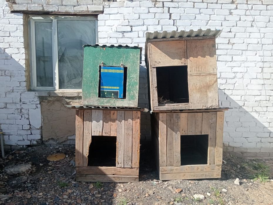 Будка для собаки