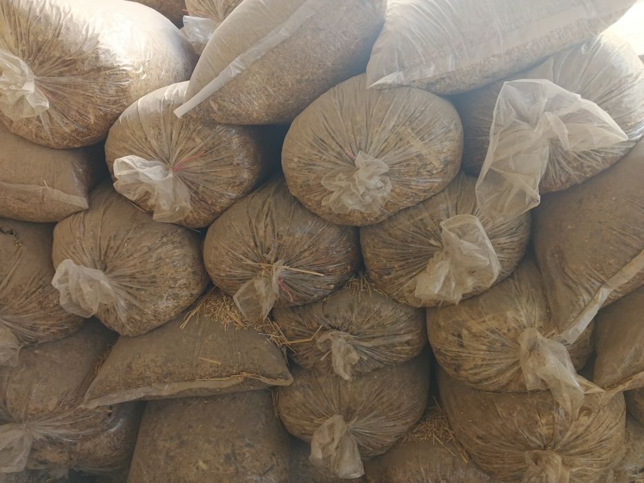 Silos 100 xalta bor hammasi 20 kilodan ziyot