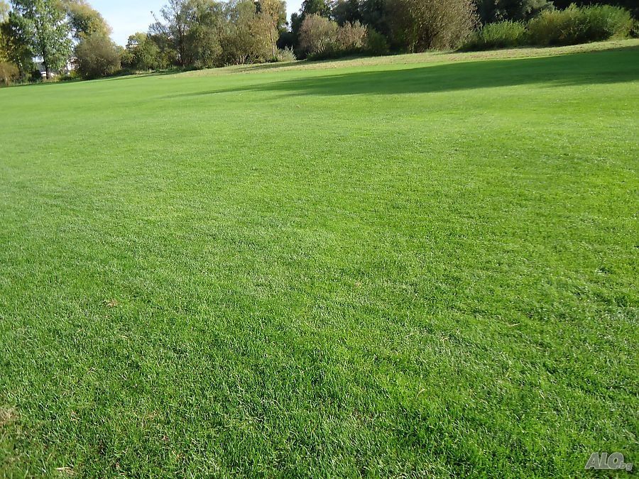 Косене на трева и почистване от храсти