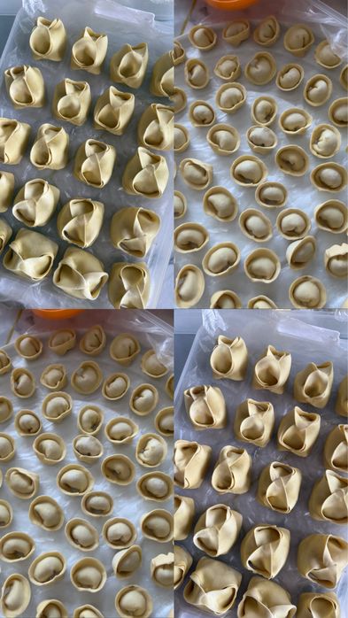 Полуфабрикаты домашний