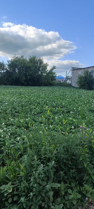 Продам Частный Дом!